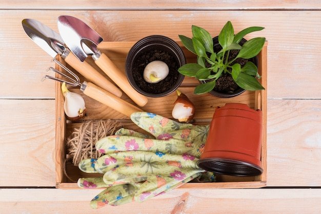 An aerial view of a variety of niche subscription boxes neatly arranged on a wooden surface. The boxes contain items related to different hobbies, such as art supplies, cooking ingredients, and gardening tools.
