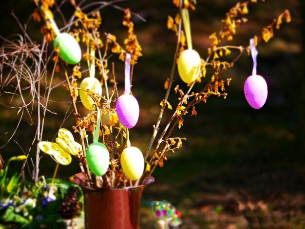 Easter Yard Decorations 2025: Hop into Spring with Style!